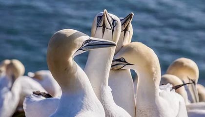 回家得先做数学题？山西一小区电梯按钮遭吐槽，售楼部回应：第四代住宅设计，业主入住前会培训