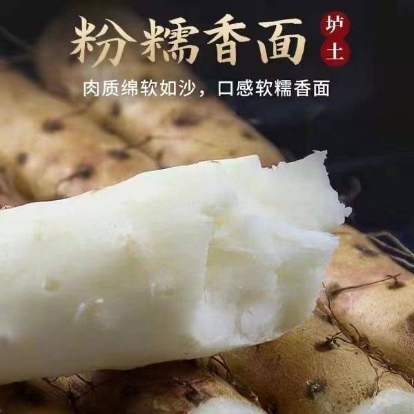 温县垆土铁棍山药和其他产地的山药在口感上有哪些区别？