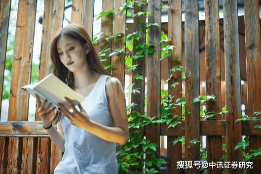 交易中止损的重要性和作用详解