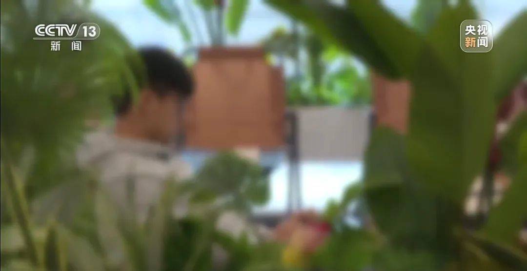 细节披露！18岁高中生被骗至缅甸：不听话白天暴晒晚上挨打，被迫去搞网恋诈骗