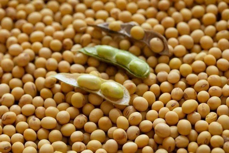 关税停战日剩1天，特朗普没直接掀桌子，而是逼中方“给钱”，英伟达也被收割，最终的输家已定