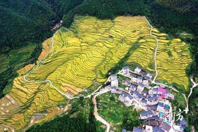 清远两地活动让村民笑开颜，农文旅融合绘就振兴新图景