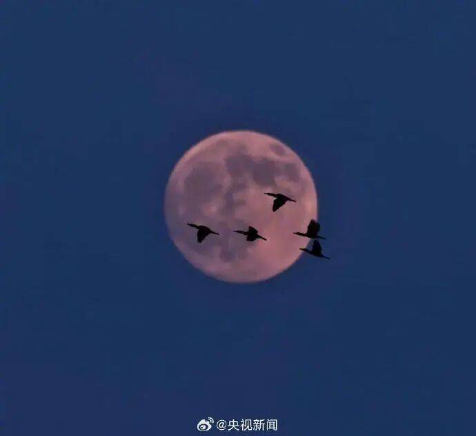 中秋的月亮太出片了！