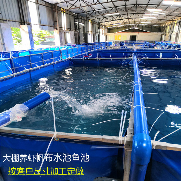 鱼池eth地址(鱼池eth最低多少支付)