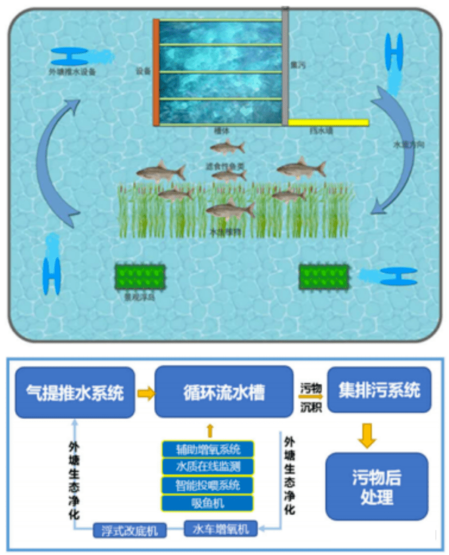 鱼池的eth网络(鱼池eth不足01)